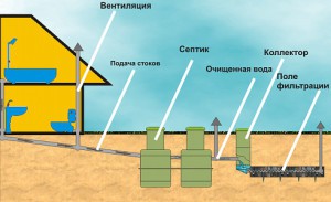 Баня из профилированного бруса под усадку