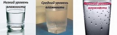 Какая должна быть влажность в квартире