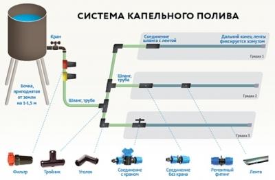 Капельный полив своими руками. Как делать. Фото и видео