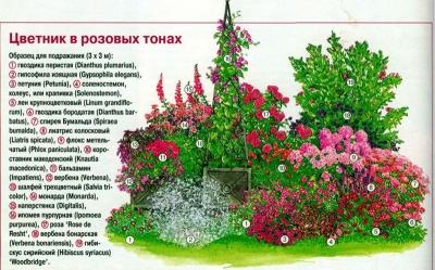 Цветники на даче своими руками: оригинальные идеи по оформлению красивых цветников для начинающих