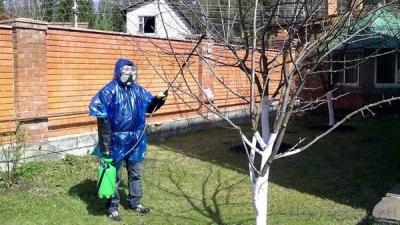 Обработка сада после цветения: чем опрыскивать растения для защиты от вредителей и болезней?